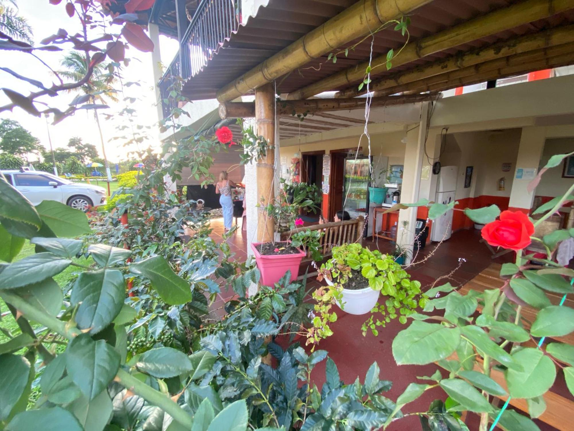 Finca Hotel Los Cocos Montenegro Bagian luar foto